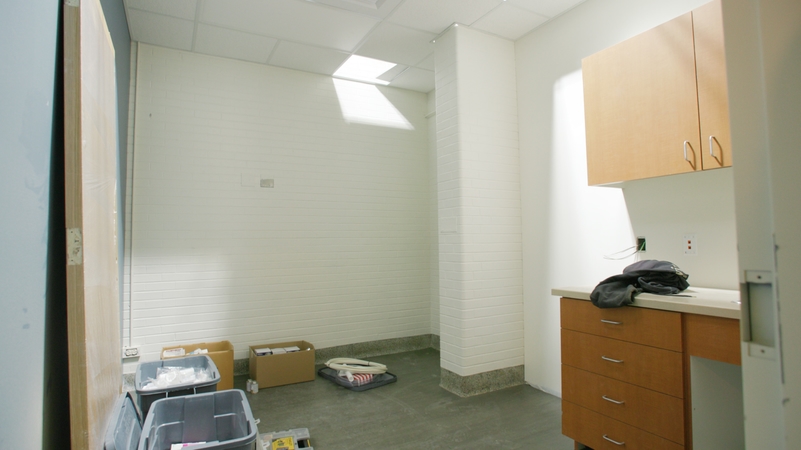 01 Godwin Heighs Cherry Health v1 00 00 20 16 Still004