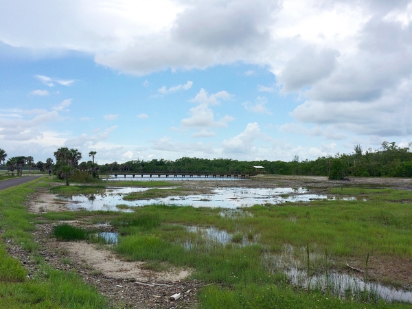 Aviation Naples 14 32 West Quad