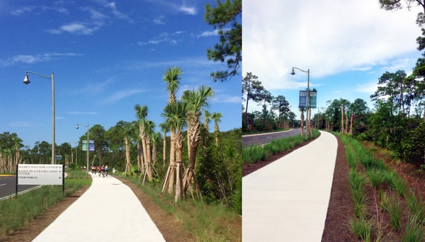 Gov General Tiger Grant FGCU Sidewalks