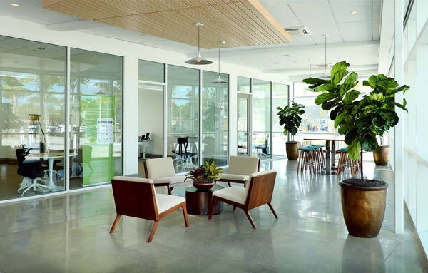 NFP SWFCF Int Meeting Colab b