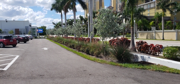 S R WINK Ext Drive w