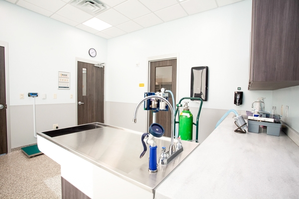 BYCE Humane Society 2022 159