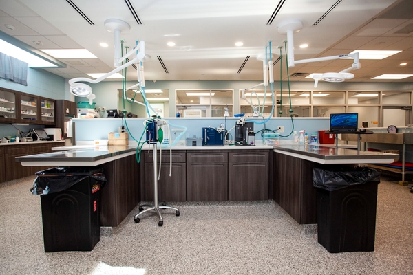 BYCE Humane Society 2022 203