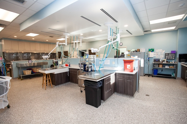 BYCE Humane Society 2022 211