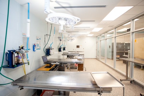 BYCE Humane Society 2022 238