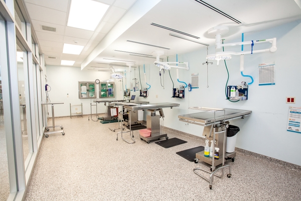 BYCE Humane Society 2022 243