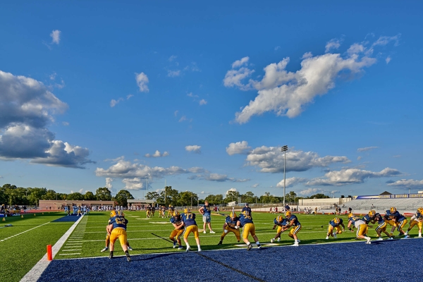 Portage Central Fields 008