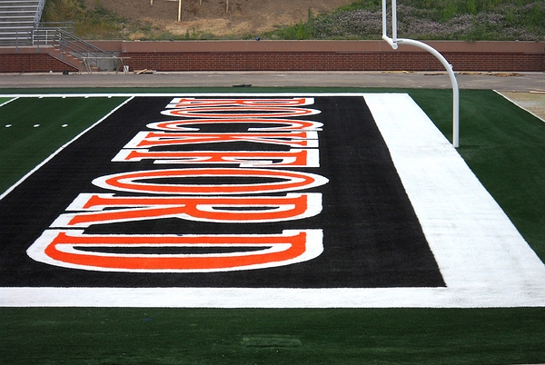 Bus Canopy Damage 013