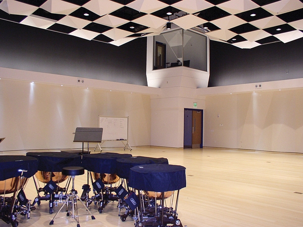 Higher Ed FGCU Fine Arts II Rehearsal