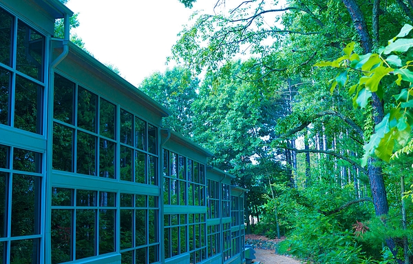 Skywood Pics 2016 12