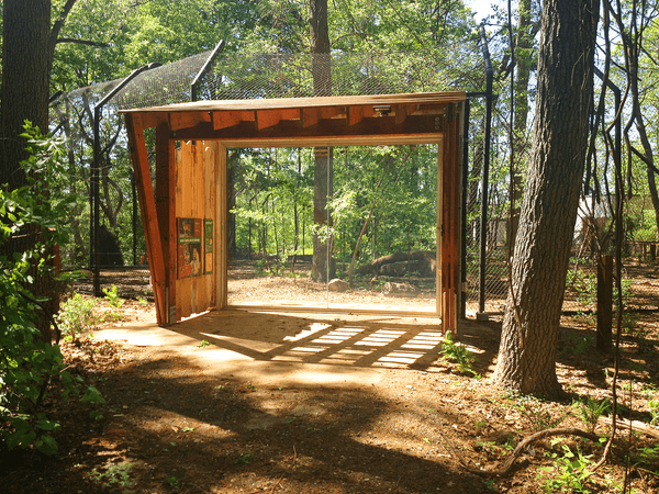 Tigers of the Realm 1