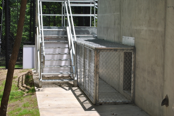 Tigers of the Realm 5