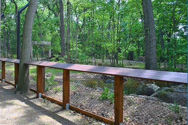 Tigers of the Realm 6